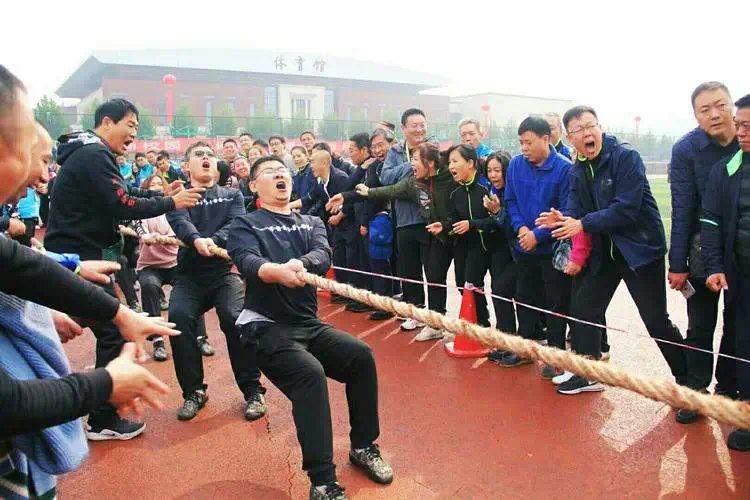 网球拍合金一体拍